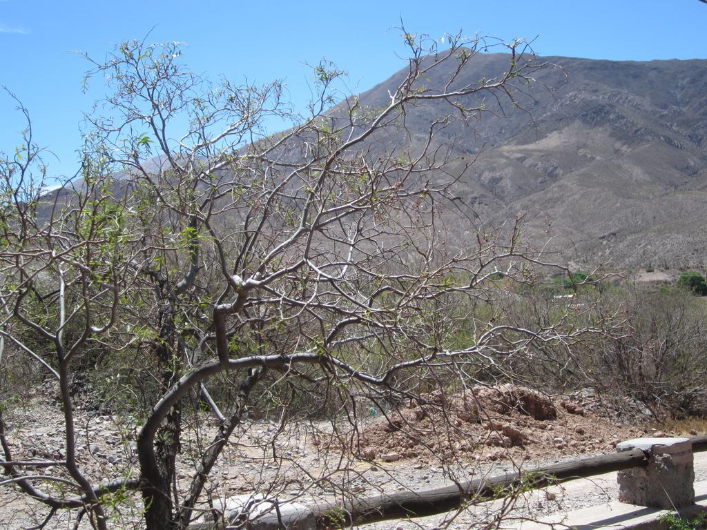 Posada Campo Morado Huacalera Buitenkant foto