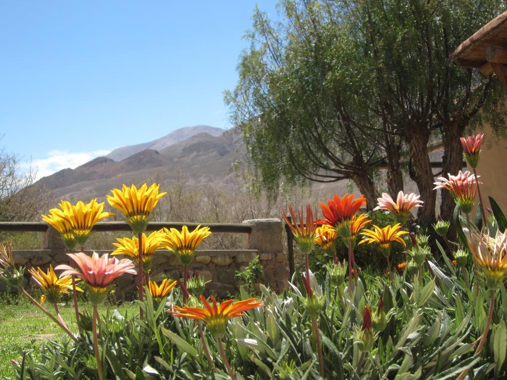 Posada Campo Morado Huacalera Buitenkant foto