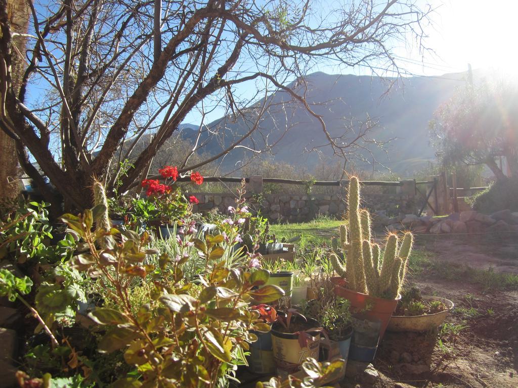 Posada Campo Morado Huacalera Buitenkant foto